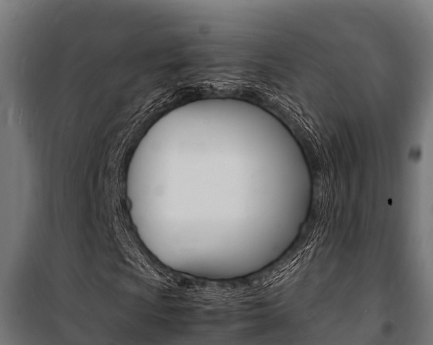 X0000100851009200806200757
