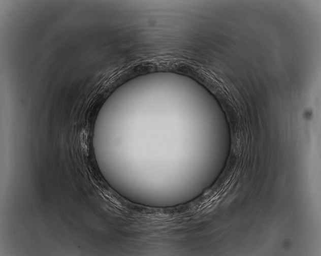 X0000100851010200806200757