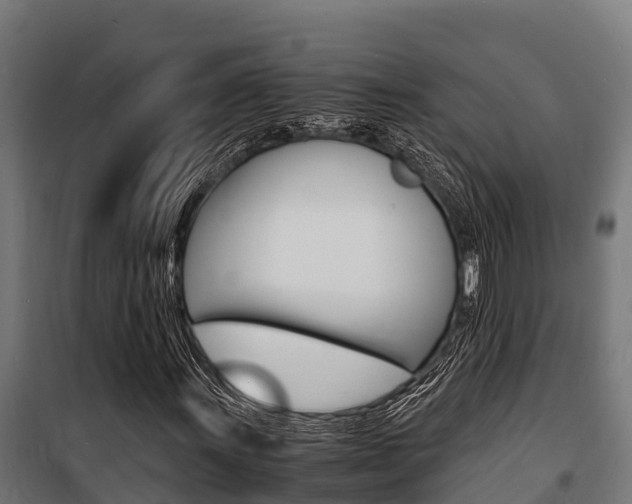 X0000100851011200806200757