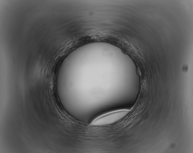 X0000100851012200806200757