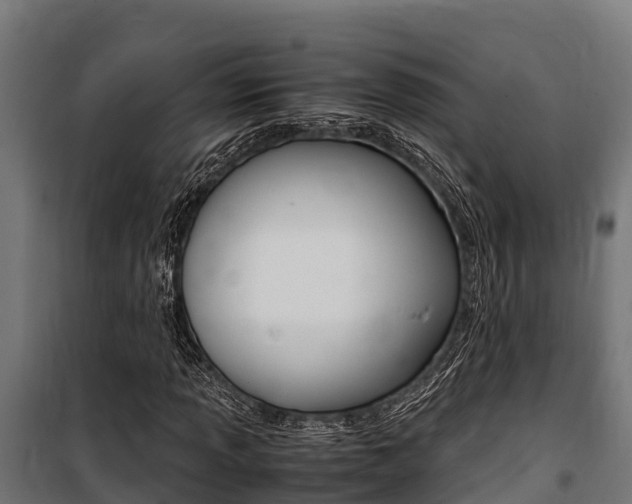 X0000100851013200806200757