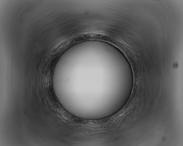 X0000100851014200806200757