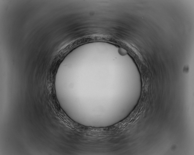 X0000100851015200806200757