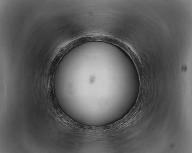 X0000100851016200806200757