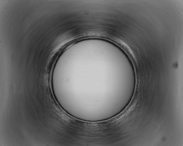 X0000100851019200806200757