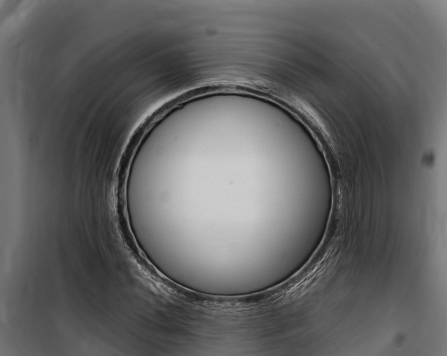 X0000100851020200806200757