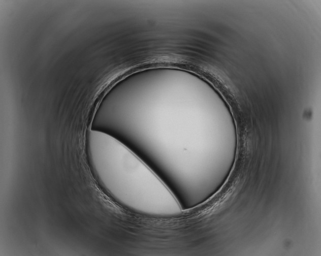 X0000100851025200806200757
