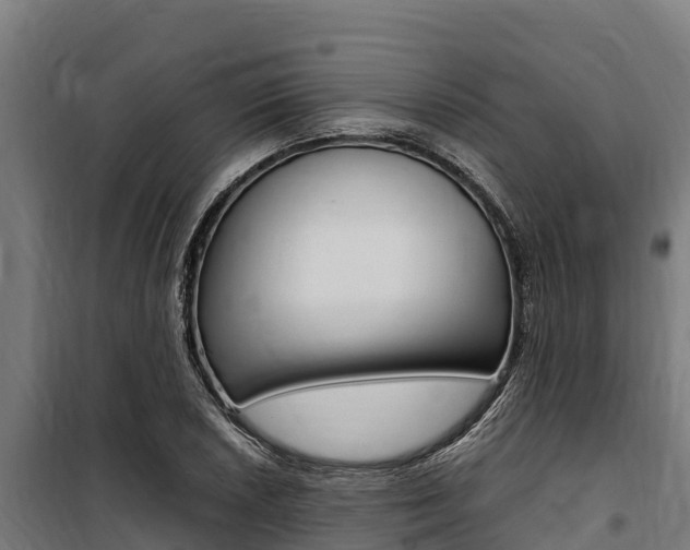 X0000100851026200806200757
