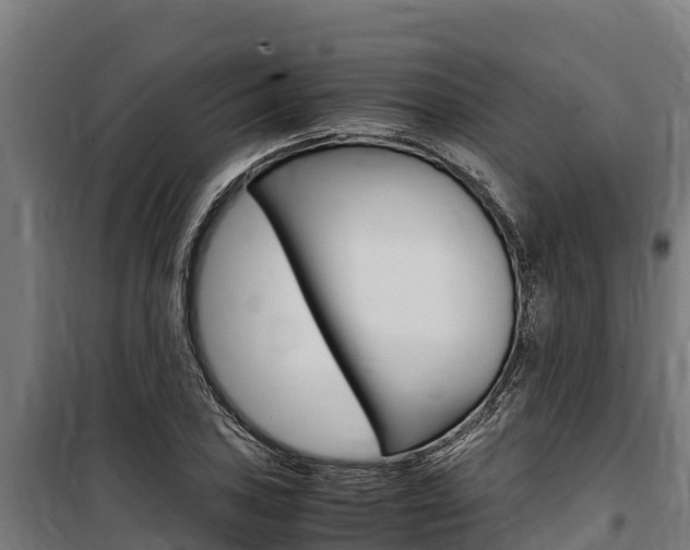 X0000100851027200806200757
