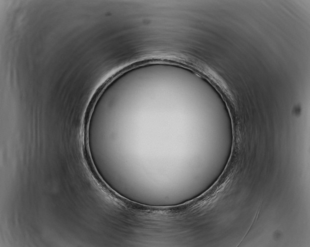 X0000100851028200806200757