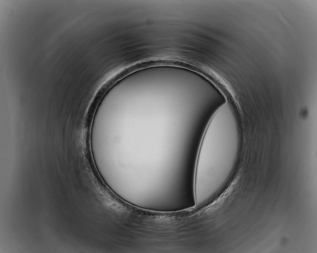 X0000100851029200806200757