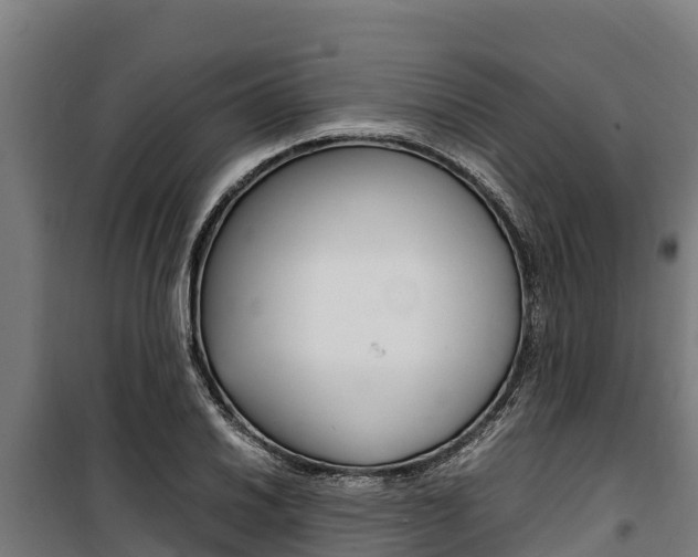 X0000100851030200806200757