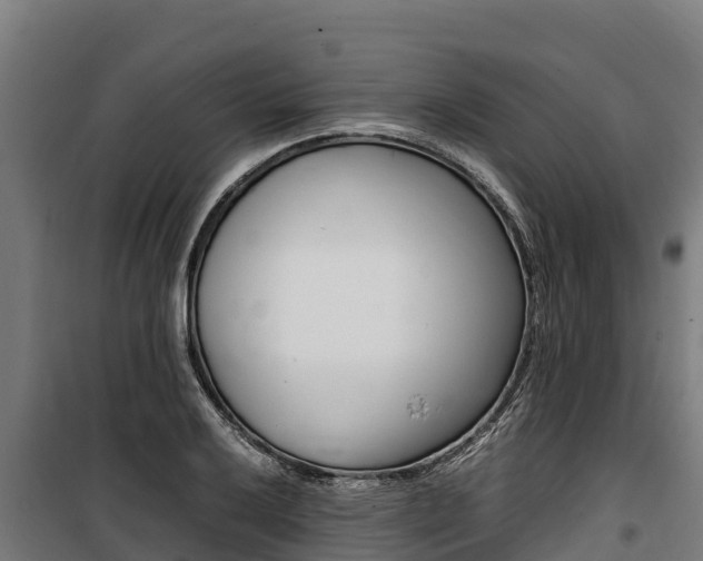 X0000100851032200806200757