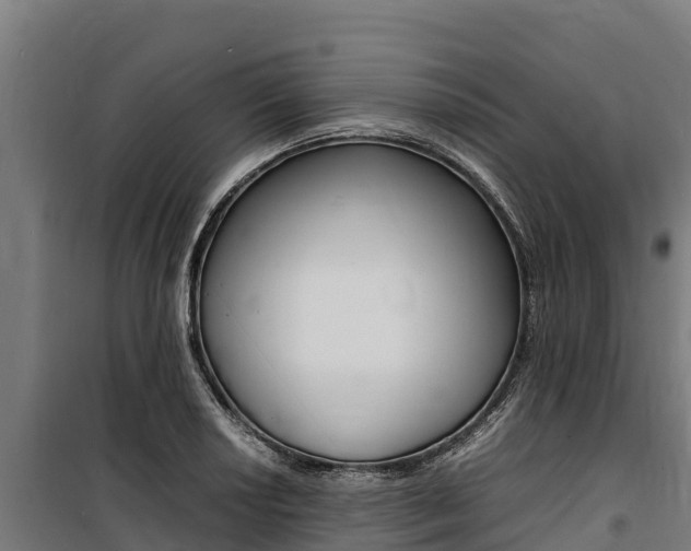 X0000100851034200806200757
