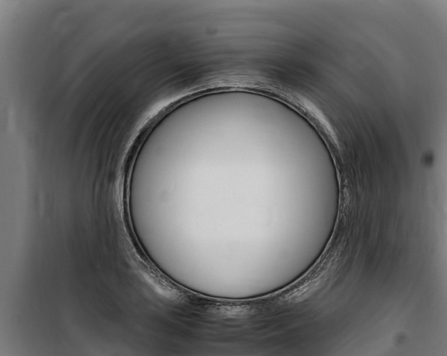 X0000100851035200806200757