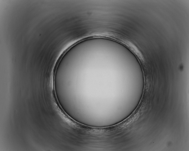 X0000100851036200806200757
