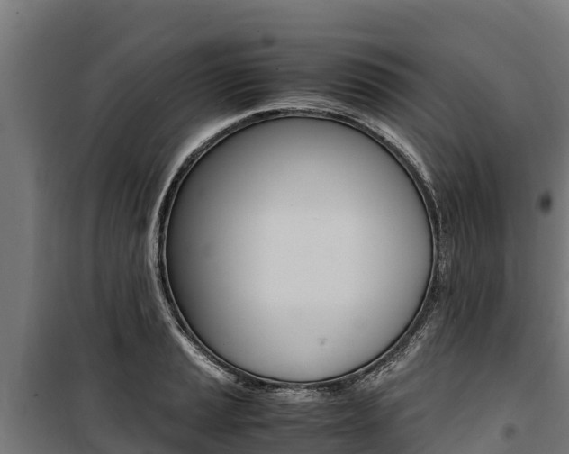 X0000100851037200806200757