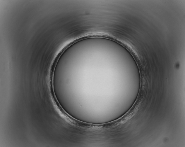 X0000100851038200806200757