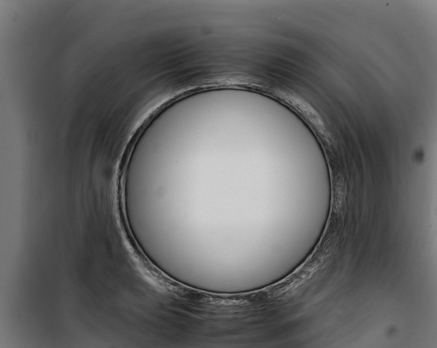 X0000100851039200806200757