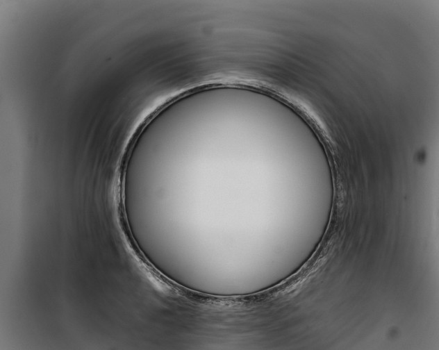 X0000100851040200806200757