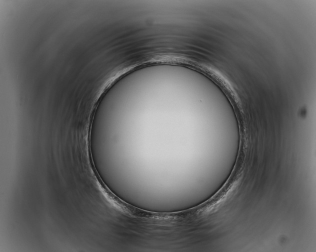X0000100851041200806200757