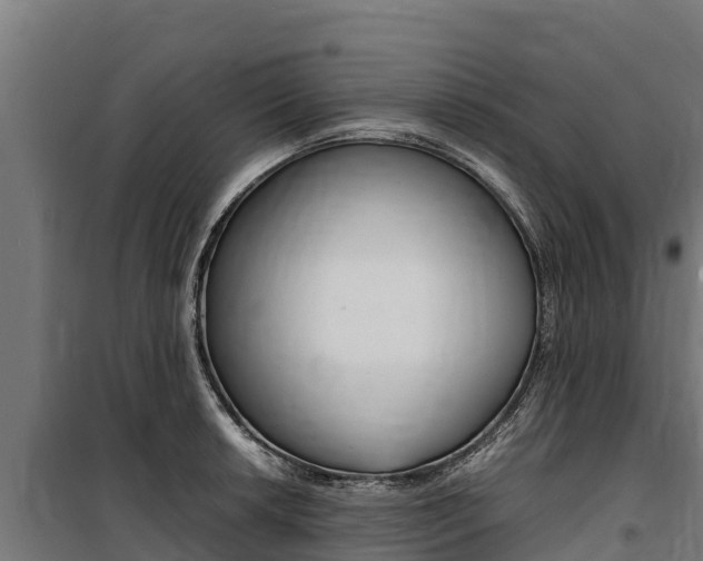 X0000100851042200806200757