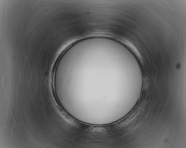 X0000100851043200806200757