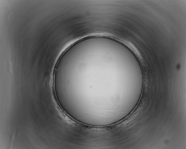 X0000100851044200806200757