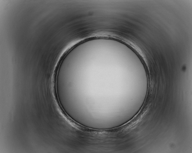 X0000100851045200806200757