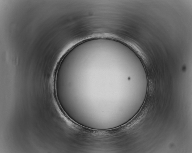 X0000100851046200806200757