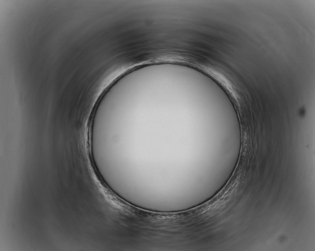 X0000100851047200806200757