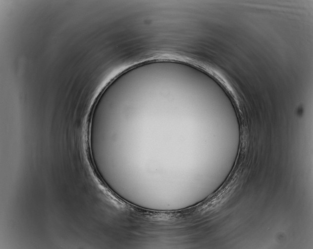 X0000100851048200806200757
