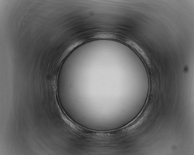 X0000100851049200806200757