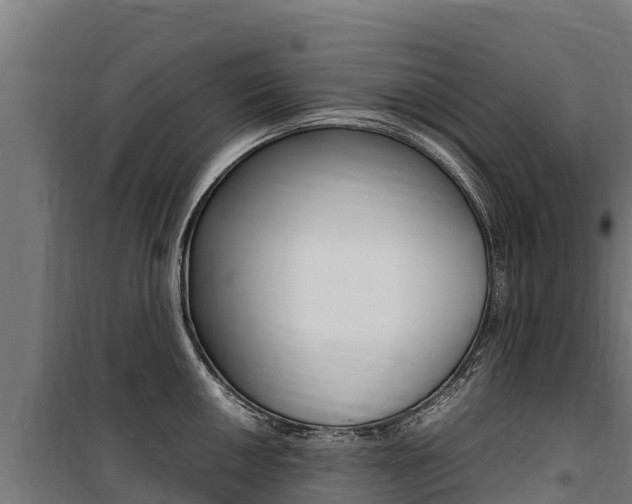 X0000100851050200806200757