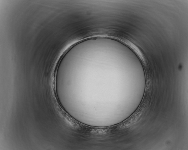 X0000100851051200806200757