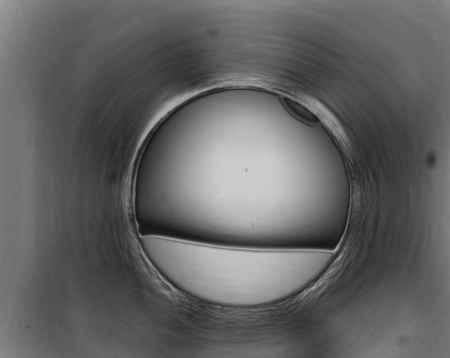 X0000100851052200806200757