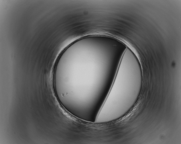 X0000100851053200806200757