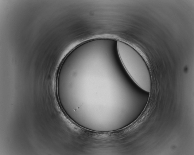 X0000100851054200806200757