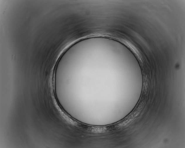X0000100851055200806200757