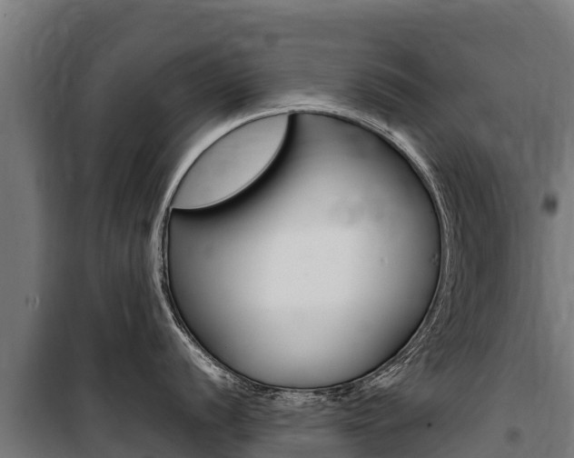 X0000100851056200806200757
