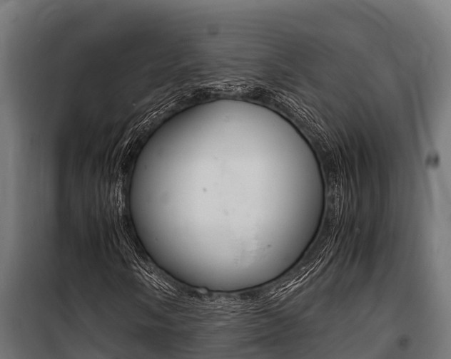 X0000100851058200806200757