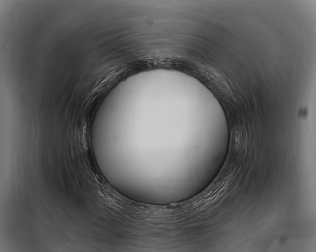 X0000100851060200806200757