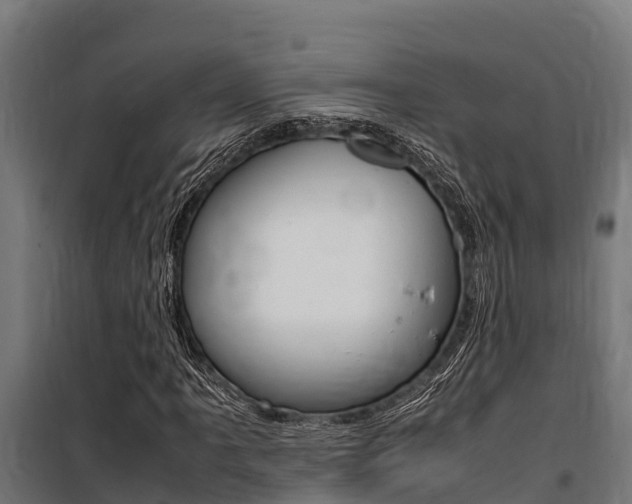 X0000100851061200806200757