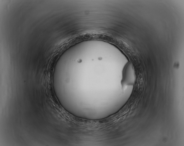 X0000100851062200806200757