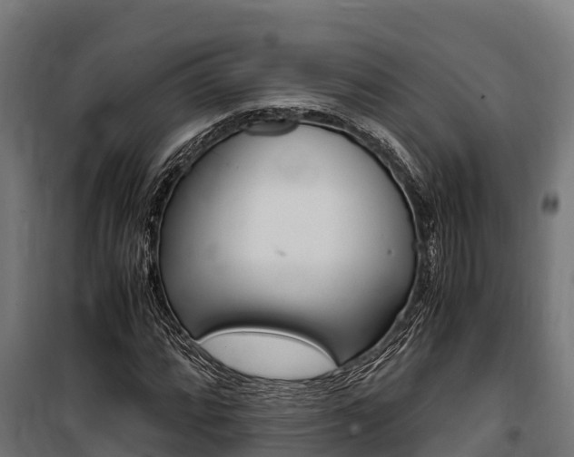 X0000100851064200806200757