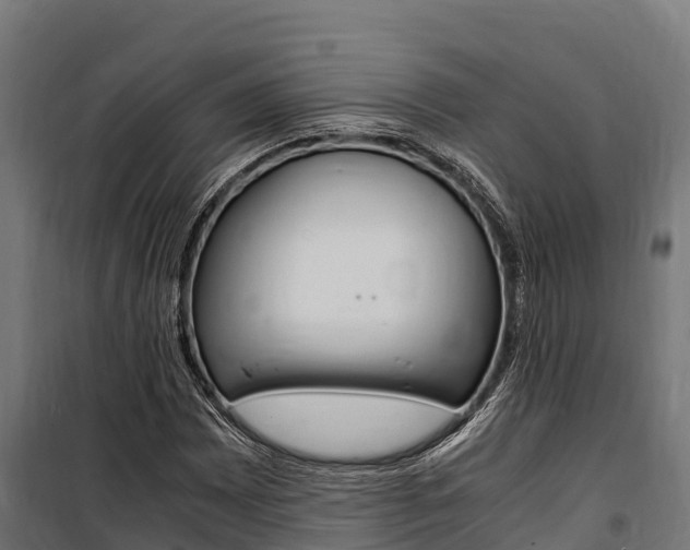 X0000100851065200806200757