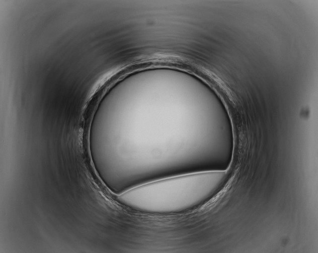 X0000100851066200806200757