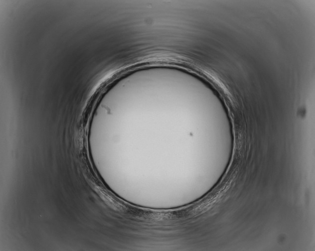 X0000100851067200806200757