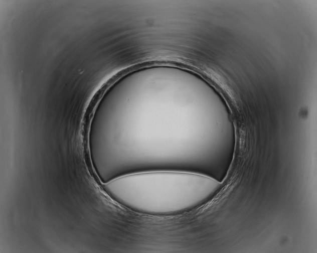 X0000100851068200806200757