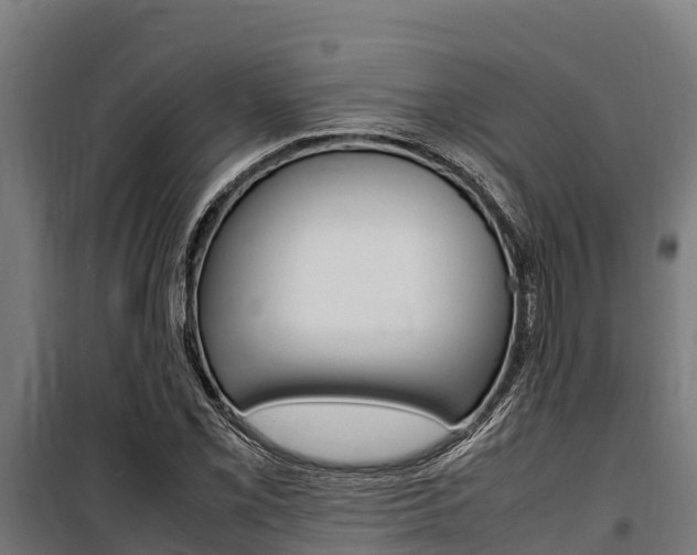 X0000100851069200806200757
